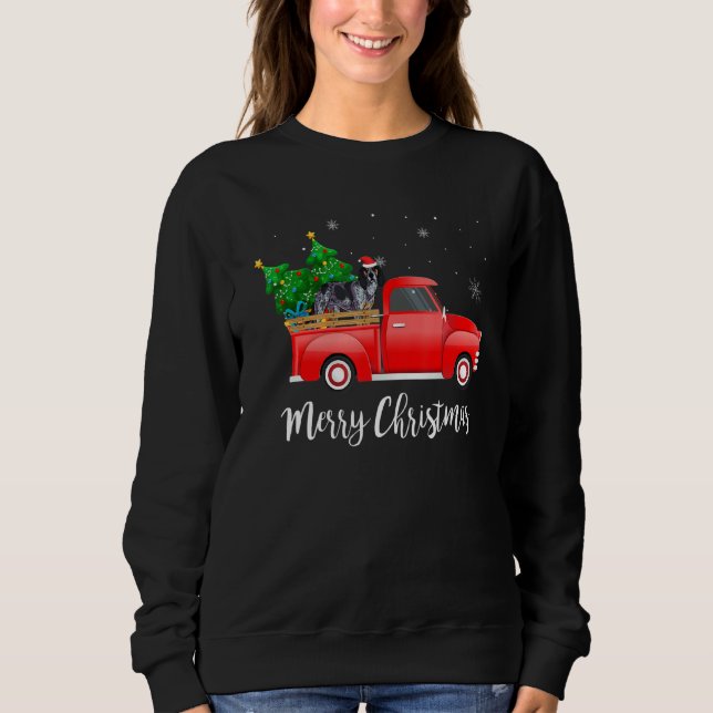 Bluetick Coonhound Dog Riding Red Truck Christmas Sweatshirt (Front)