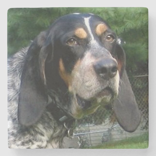 Bluetick Coonhound.png Stone Coaster (Front)