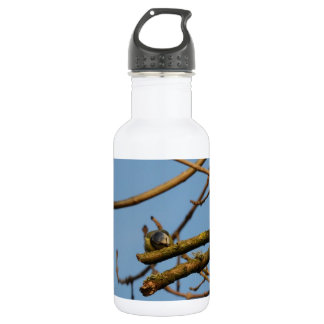 Bluetit 532 Ml Water Bottle