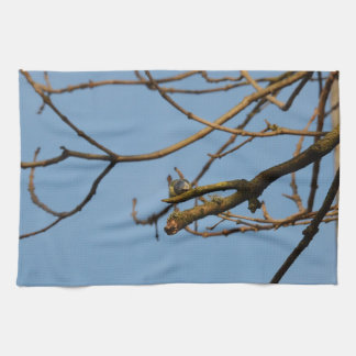 Bluetit Tea Towel