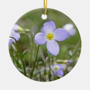 Bluets - Quaker Ladies Ceramic Tree Decoration