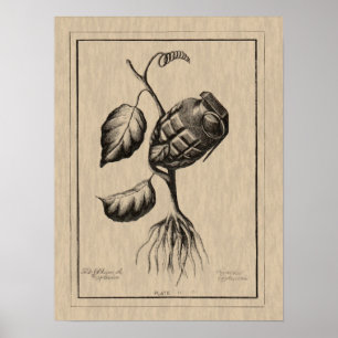 Blum de Explosive Poster