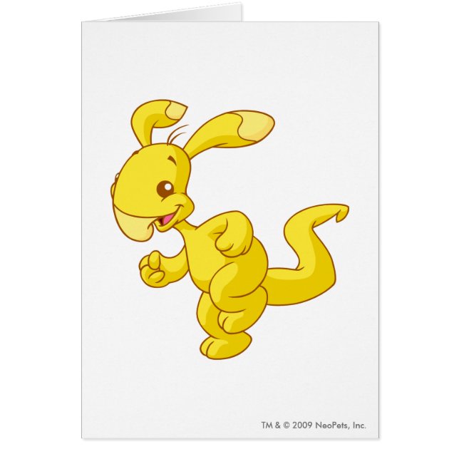 Blumaroo Gold (Front)