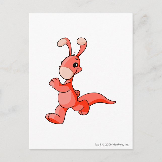 Blumaroo Red Postcard (Front)