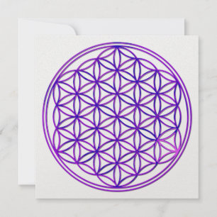 Blume des Lebens / Flower Of Life pink blue