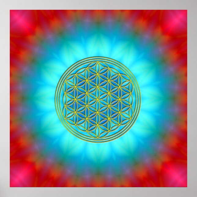 Blume des Lebens Motiv 11 Poster (Front)