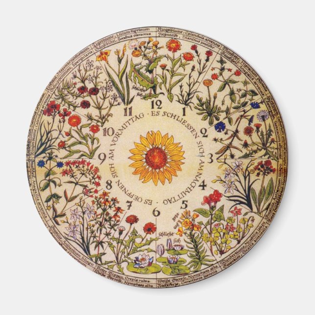 Blumenuhr Flower Clock Magnet (Front)
