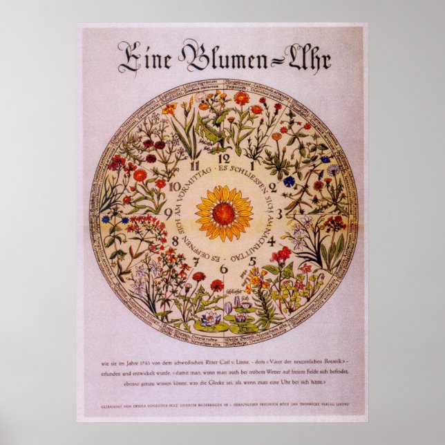 Blumenuhr   Flower Clock  Poster2 Poster (Front)