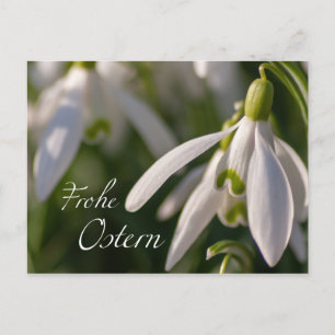 Blumige Ostergrüße aus dem Briefkasten Postcard