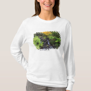 Blurred Rock Waterfall, Maple Green & Orange Trees T-Shirt