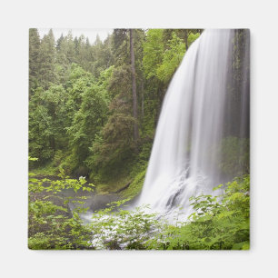 Blurred Waterfall and Forest View in Oregon Magnet