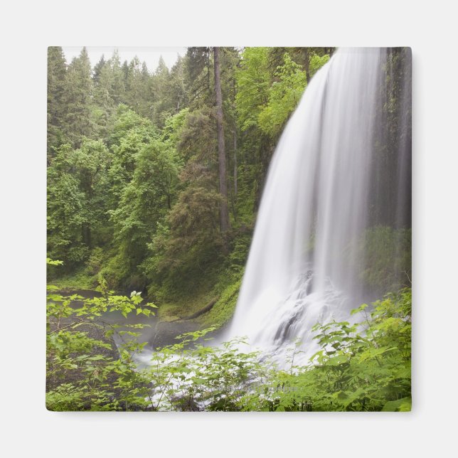 Blurred Waterfall and Forest View in Oregon Magnet (Front)