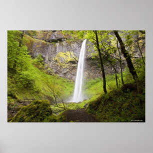 Blurred Waterfall around lush Greenery in Oregon Poster