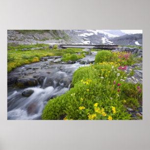 Blurry River with Yellow White Pink Wildflowers Poster