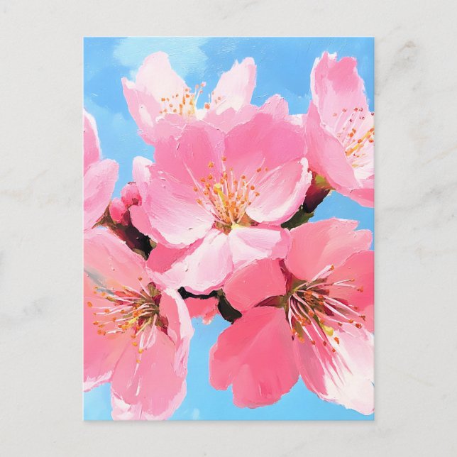 Blush Bloom Cherry Blossom Holiday Postcard (Front)