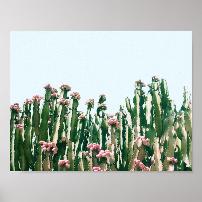 Blush Cactus Poster (Front)