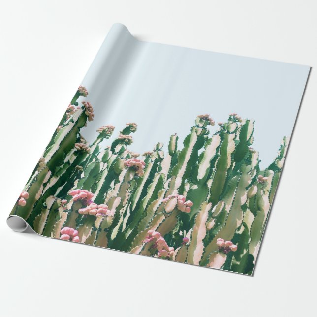 Blush Cactus Wrapping Paper (Unrolled)