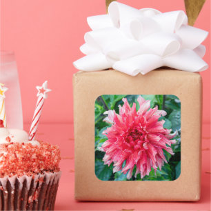 Blush Dahlia Bloom – Soft Petal Harmony Square Sticker