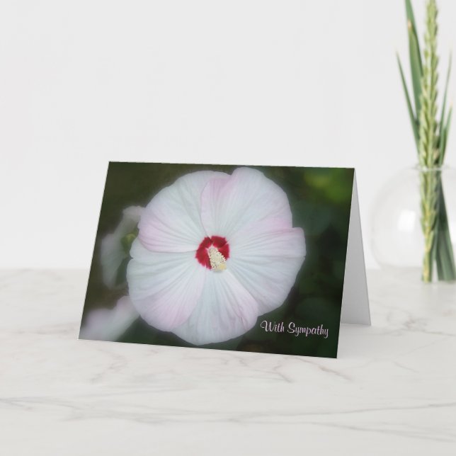 Blush Hibiscus Card (Front)