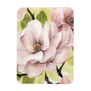 Blush Magnolia Flowers Magnet