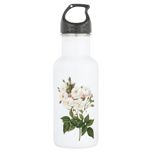 blush noisette rose(Rosa noisettiana) by Redouté 532 Ml Water Bottle (Front)