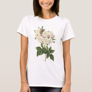blush noisette rose(Rosa noisettiana) by Redouté T-Shirt