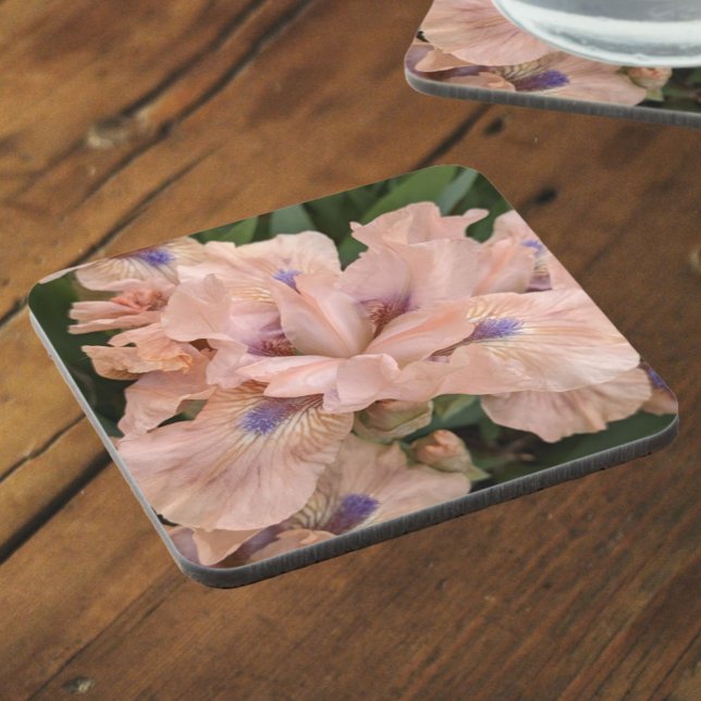 Blush Pink Bearded Iris Floral Coaster (In Situ)