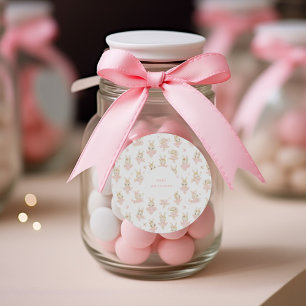 Blush Pink Bunny Rabbit Ballerina Baby Shower Classic Round Sticker
