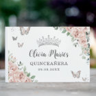 Blush Pink Floral Butterflies Silver Quinceañera