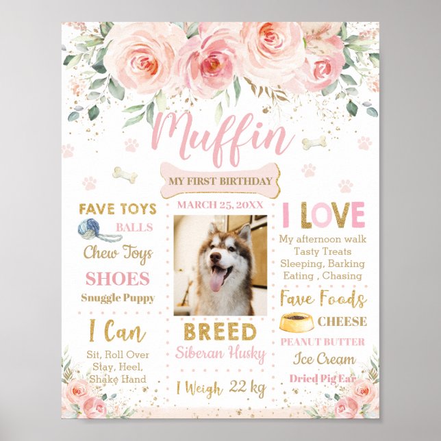 Blush Pink Floral Dog Puppy 1st Birthday Milestone Poster (Front)