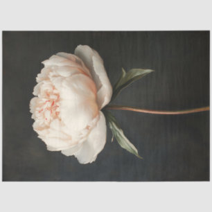 Blush Pink Peony Botanical Painting Decoupage Tissue Paper