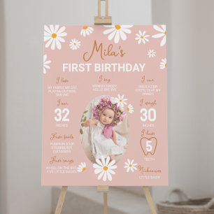 Blush Pink Retro Daisy 1st Birthday Milestone Sign