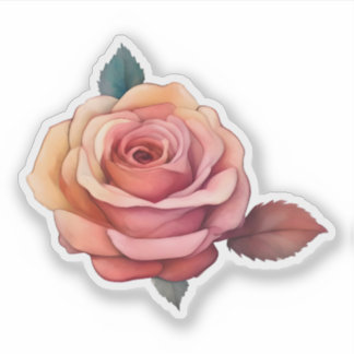 Blush Pink Rose Bloom