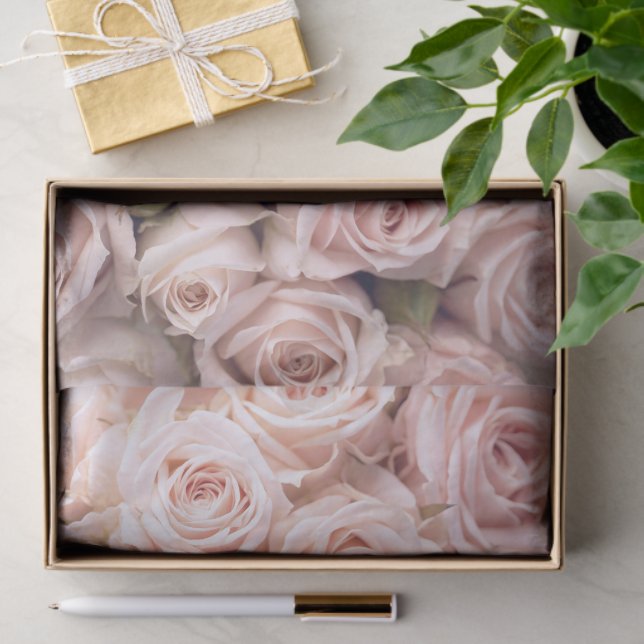 Blush Pink Roses Tissue Paper (Gift)