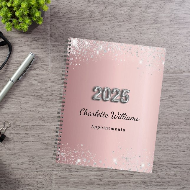 Blush pink silver sparkles 2025 planner (Creator Uploaded)