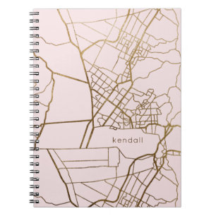 Blush Pink with Gold Look Map and Name Notebook