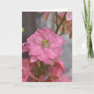 Blush Reverence – Pink Blossom Macro Floral Card