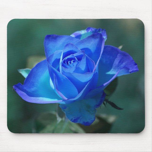 Blushed Blue Rose mousePad (Front)