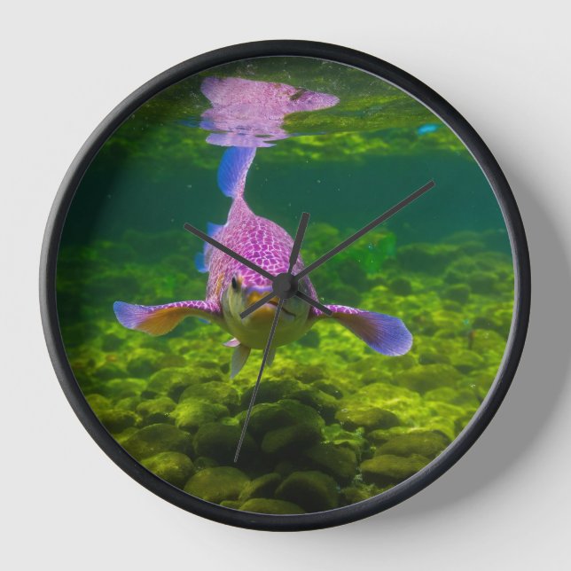 "Blushing Fins: A Whimsical Pink Fish Design Watch Clock (Front)