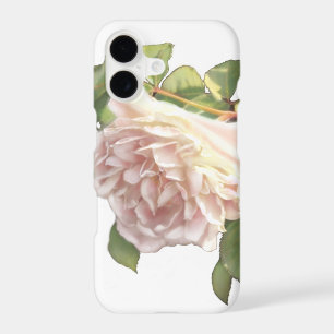 Blushing Ivory Peach Rose