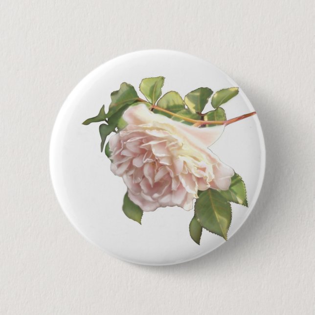 Blushing Ivory Peach Rose 6 Cm Round Badge (Front)