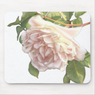 Blushing Ivory Peach Rose Mouse Pad