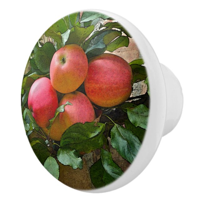 "BLUSHING PINK APPLES" CERAMIC KNOB (Right)
