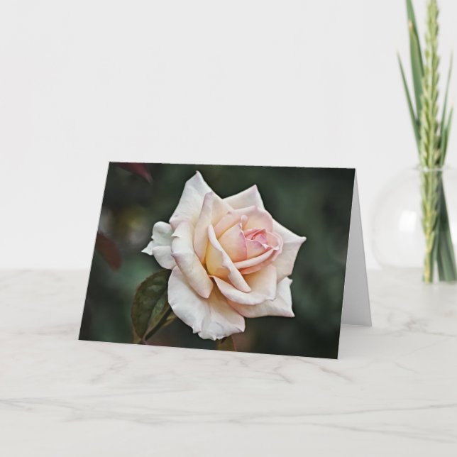 Blushing Pink Rose Art Card (Front)