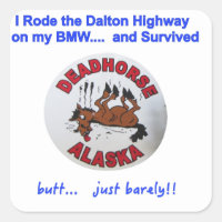 BMW Dalton Highway Survivor