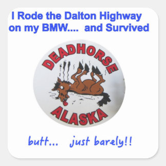 BMW Dalton Highway Survivor Square Sticker