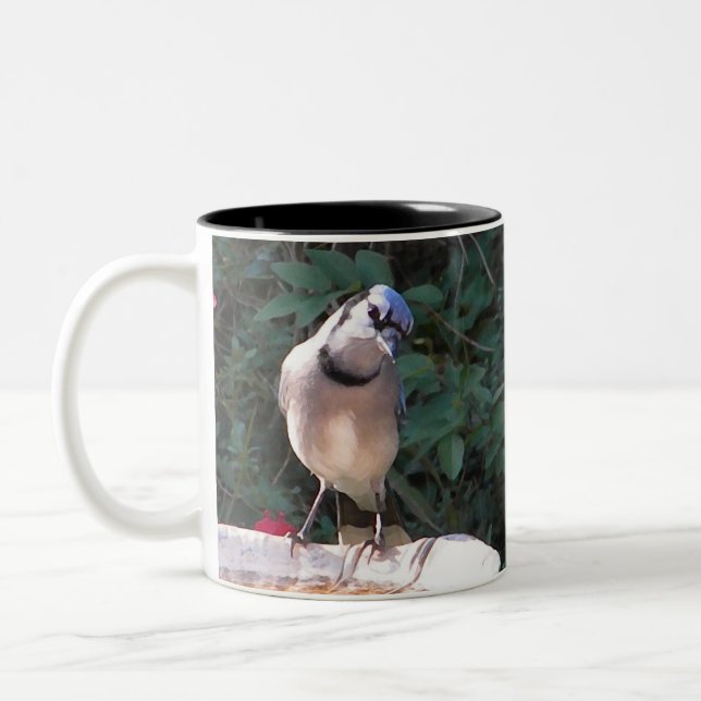 BN- Mockingbird and Blue jay mug (Left)