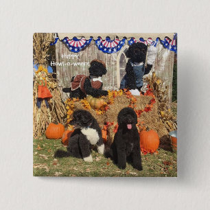 Bo and Sunny Halloween - Pin
