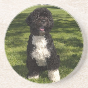 Bo Obama Coaster