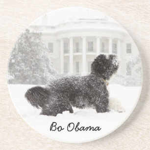 Bo Obama Coaster